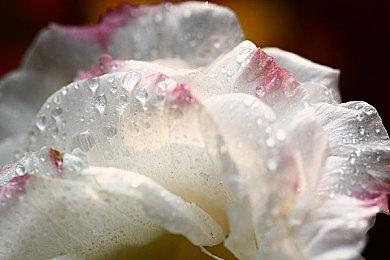 心理恐怖游戏《洛蕾塔》将于4月11日登陆主机